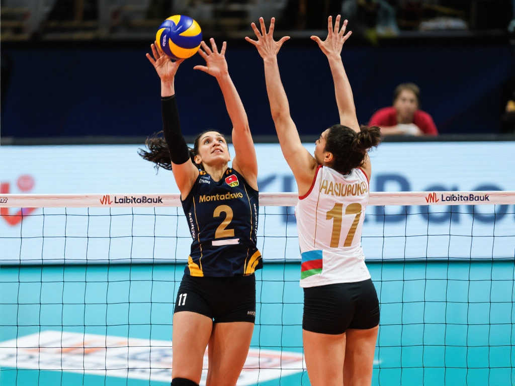 战术执行得 战术执行得