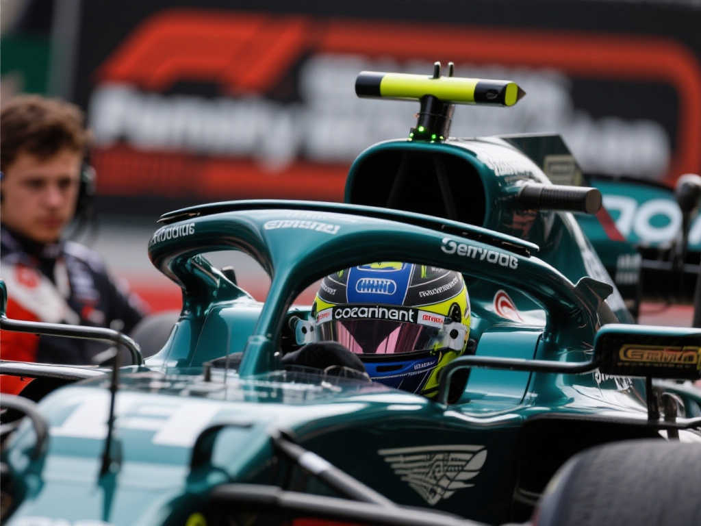 起这段经历 起这段经历