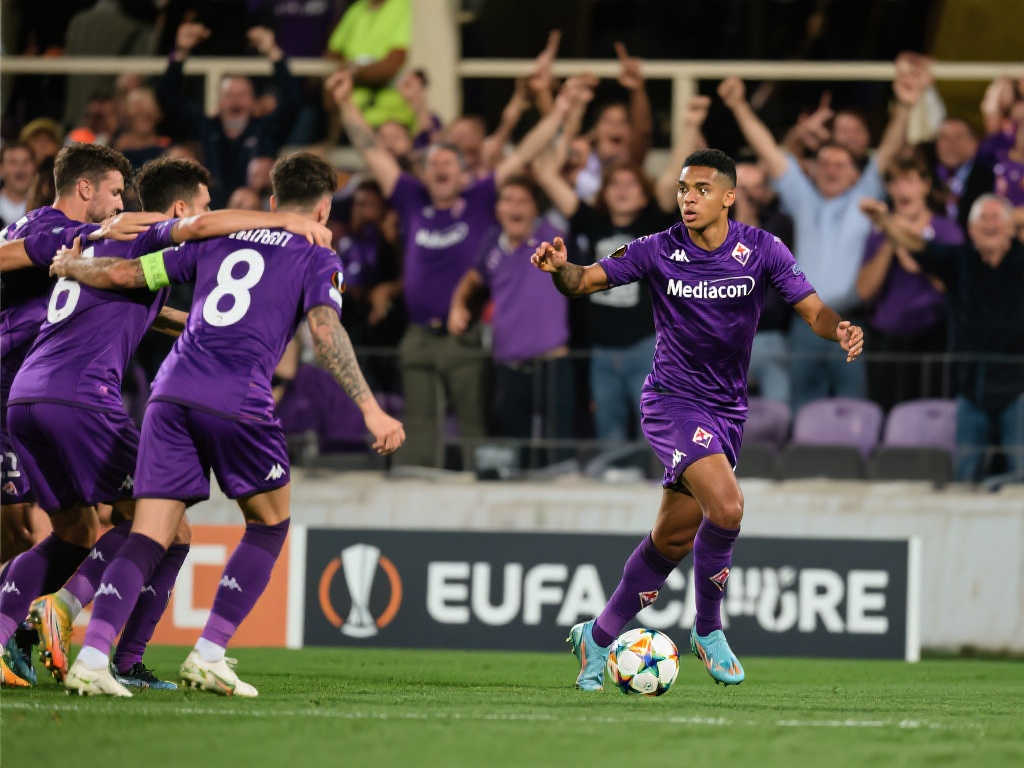 仅赢得了球 仅赢得了球